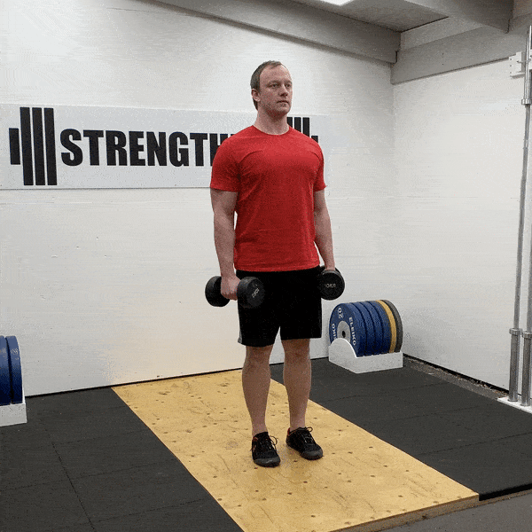 Dumbbell Lateral Raise