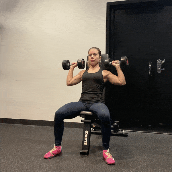 Seated Dumbbell Shoulder Press